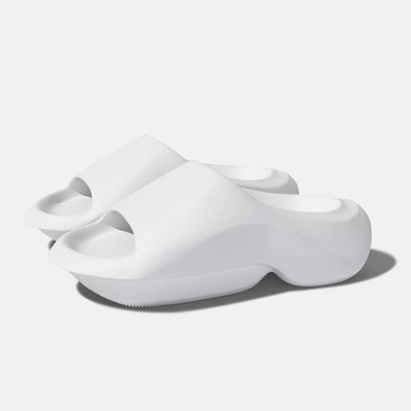 SNK Evo Slides