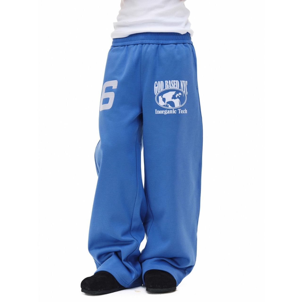 Inorganic 6 Cargo Sweats