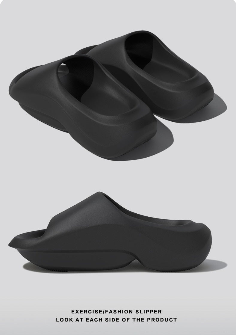 SNK Evo Slides