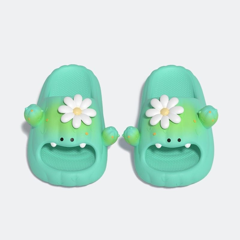 Cactus John Slides