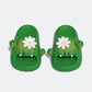 Cactus John Slides