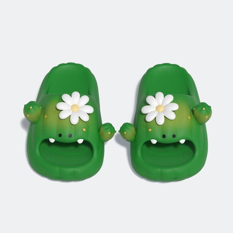 Cactus John Slides