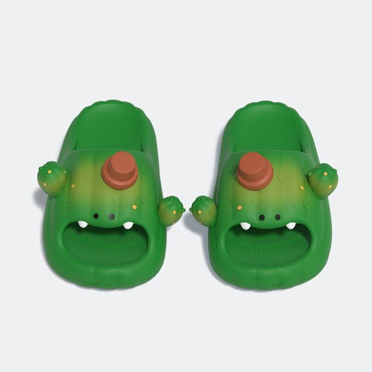 Cactus John Slides