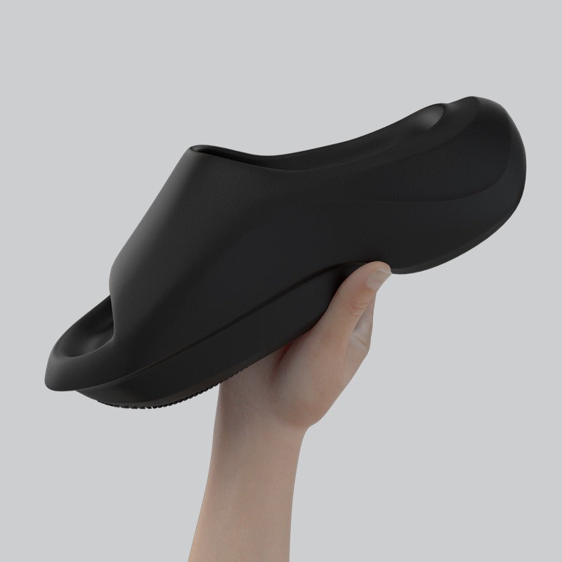 SNK Evo Slides
