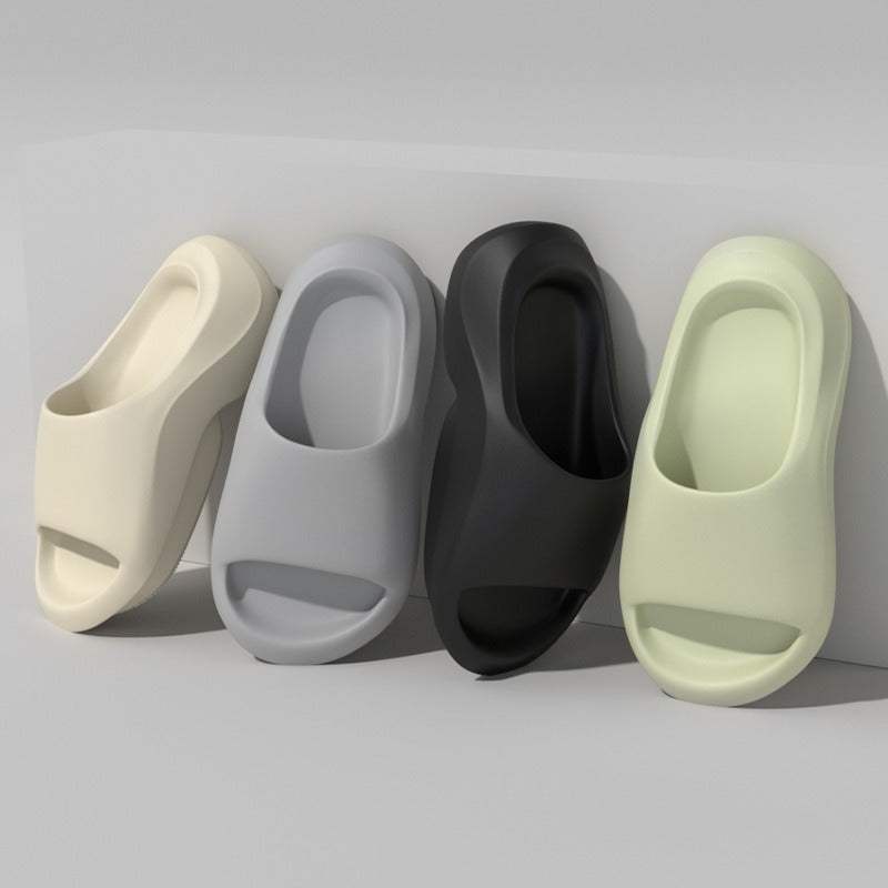 SNK Evo Slides