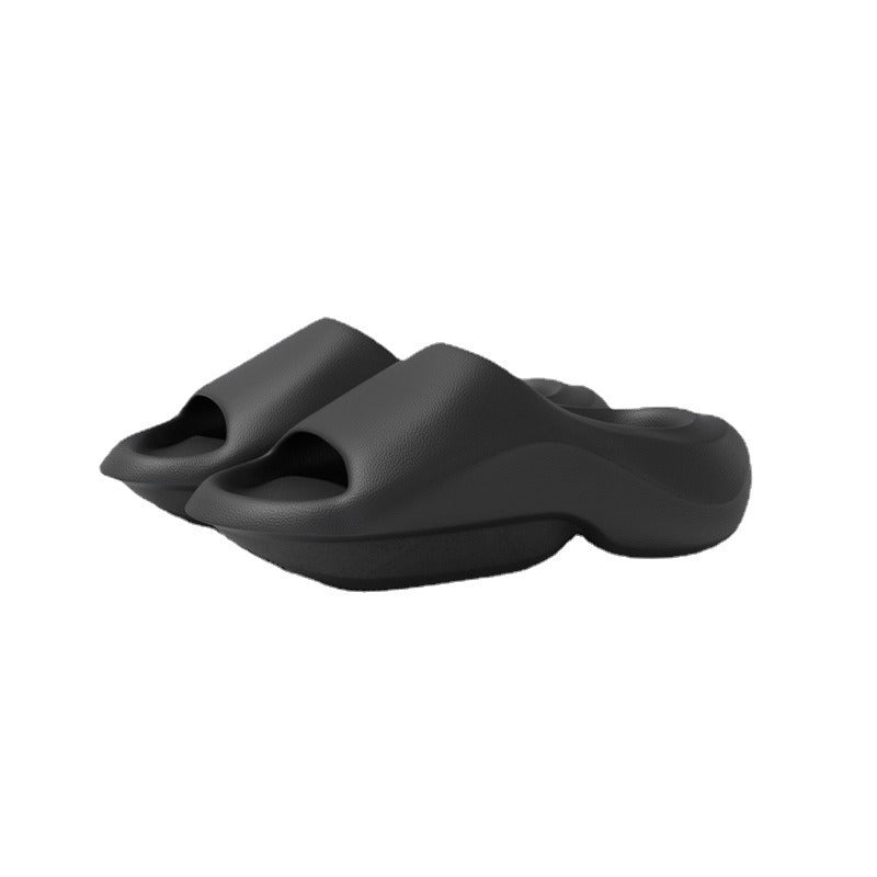 SNK Evo Slides